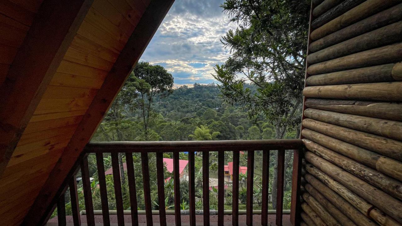 Campo de lujo Glamping Magic *